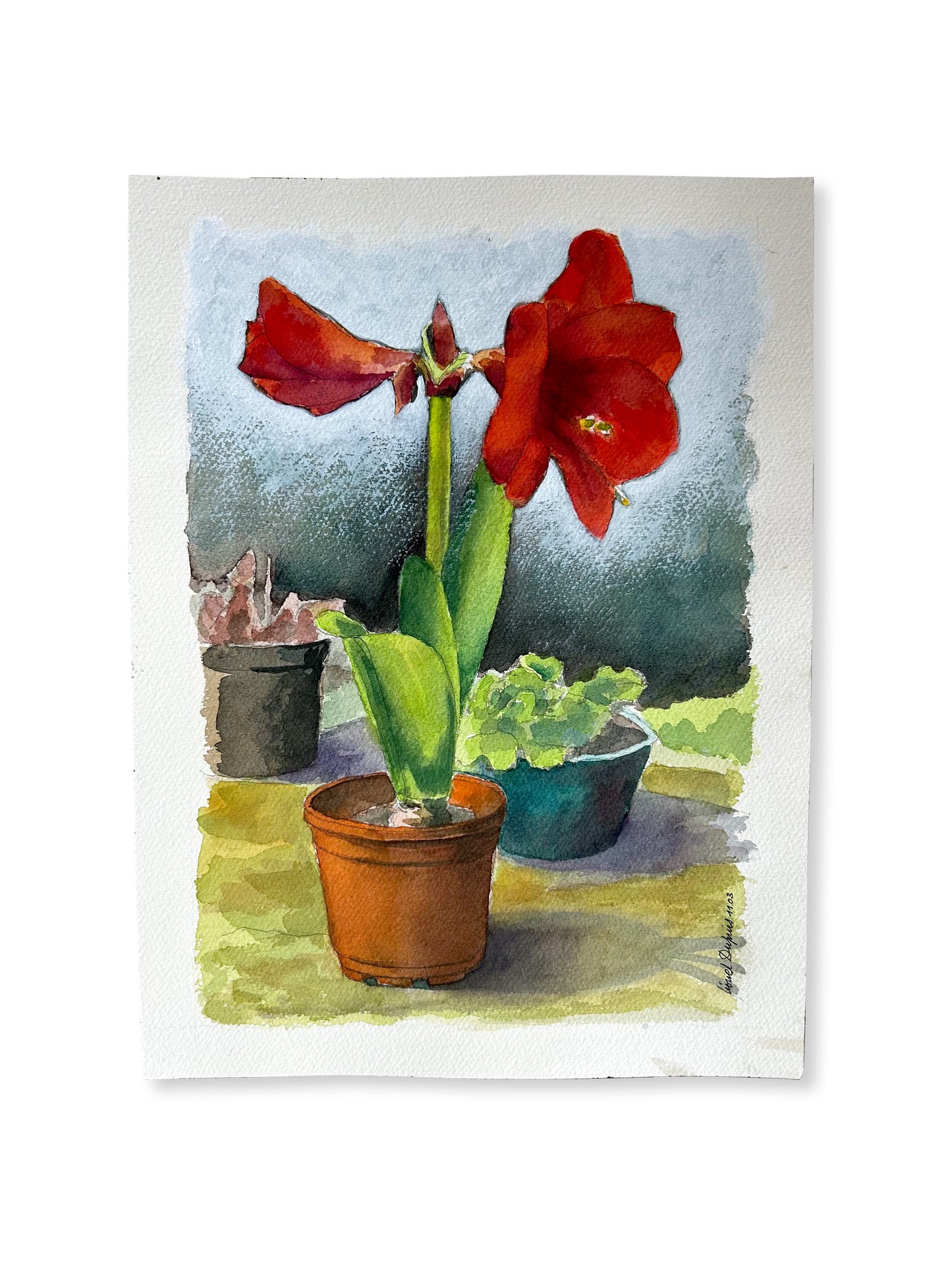 Paris - 10" x 14" Original French Watercolor Amaryllis