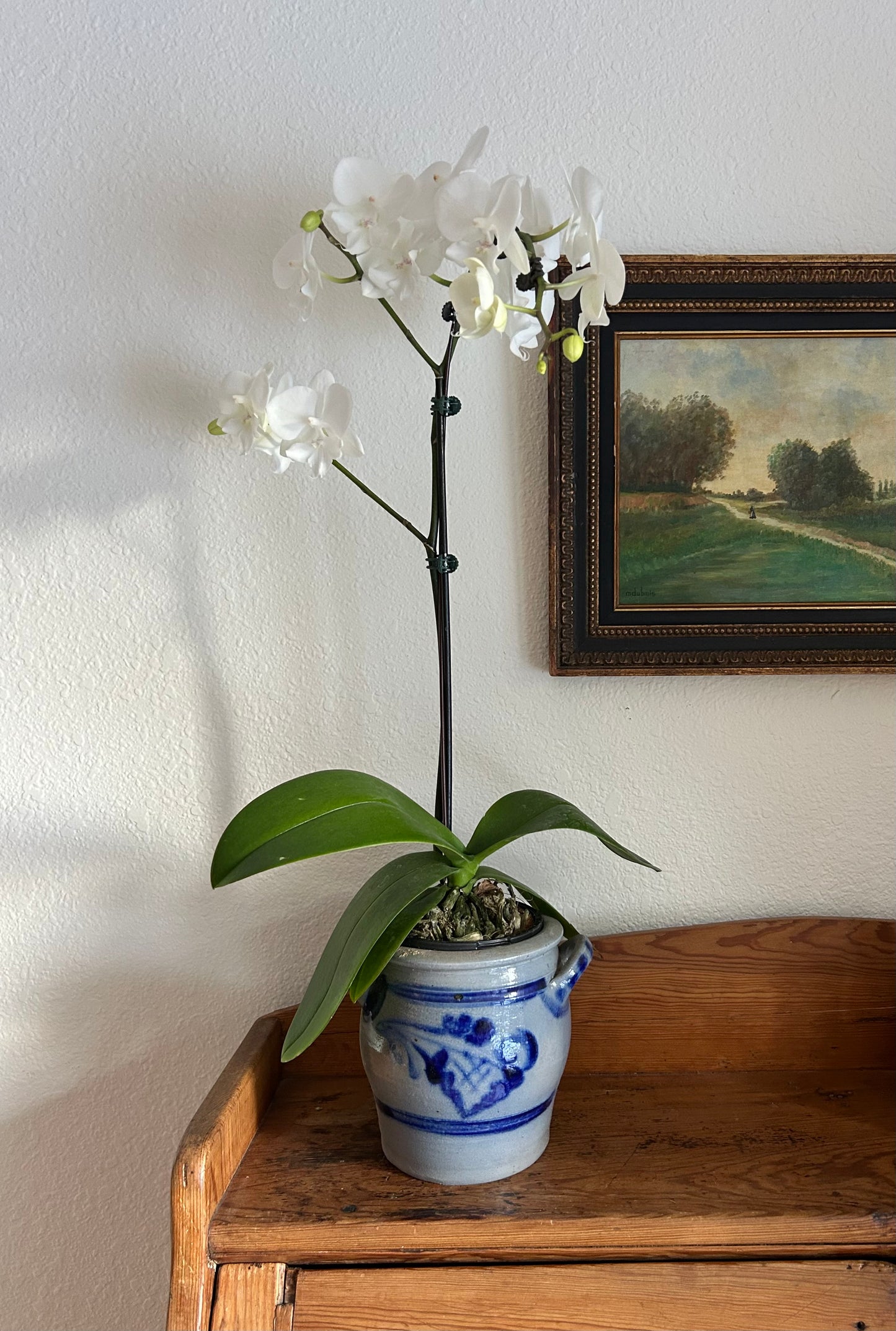 German Salt Glazed Stoneware Vessels