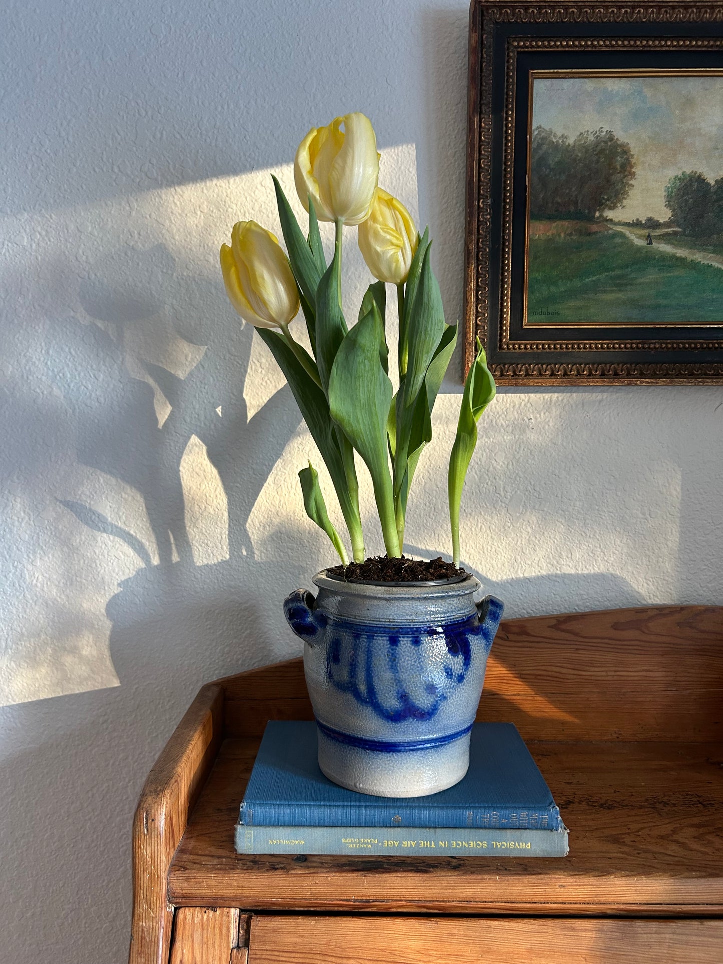 German Salt Glazed Stoneware Vessels