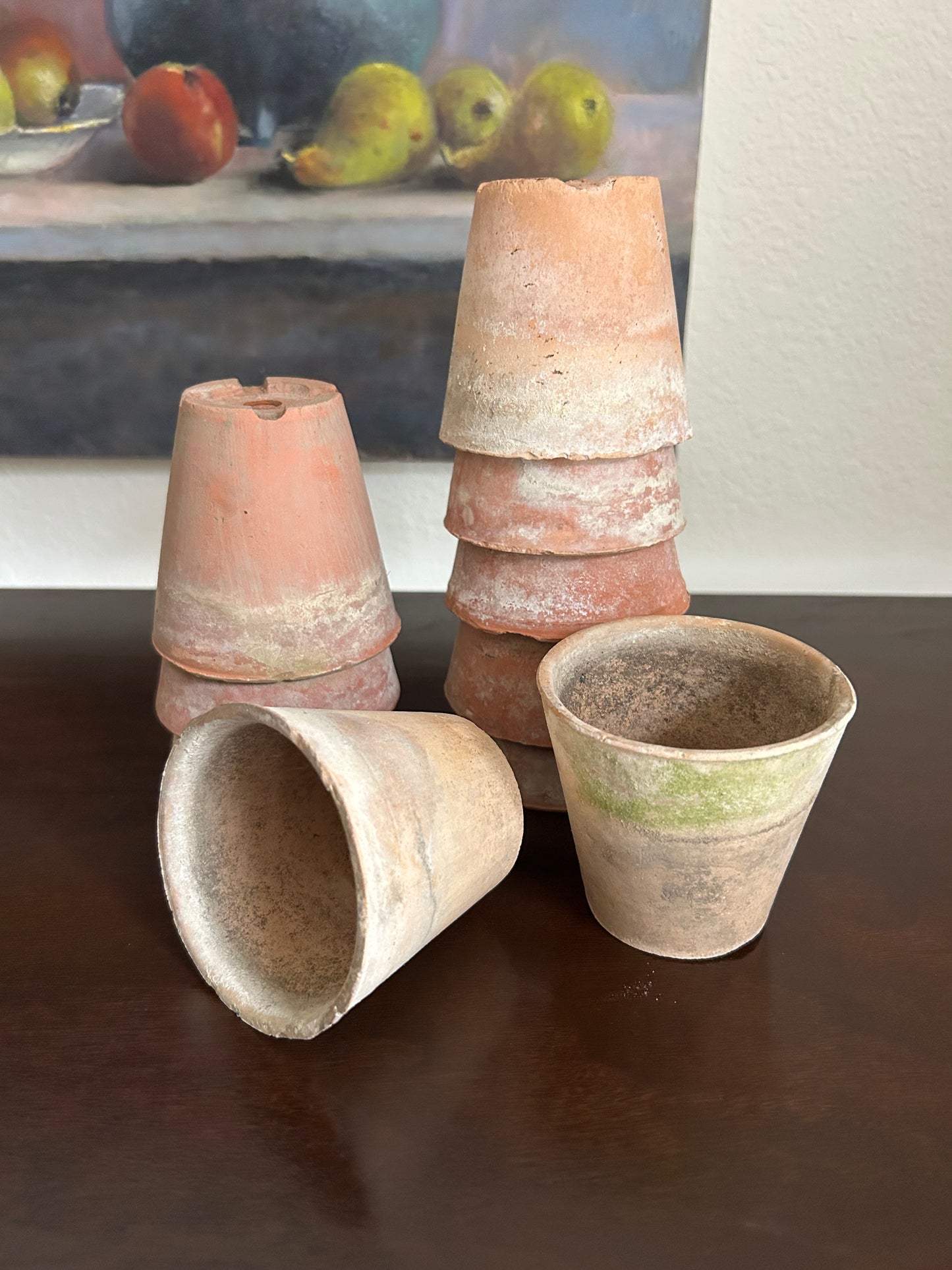 European Terracotta 3” Pots